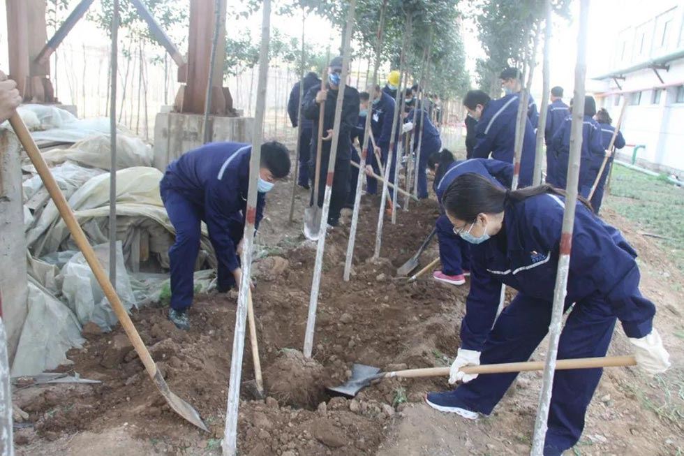 冲床厂区植树