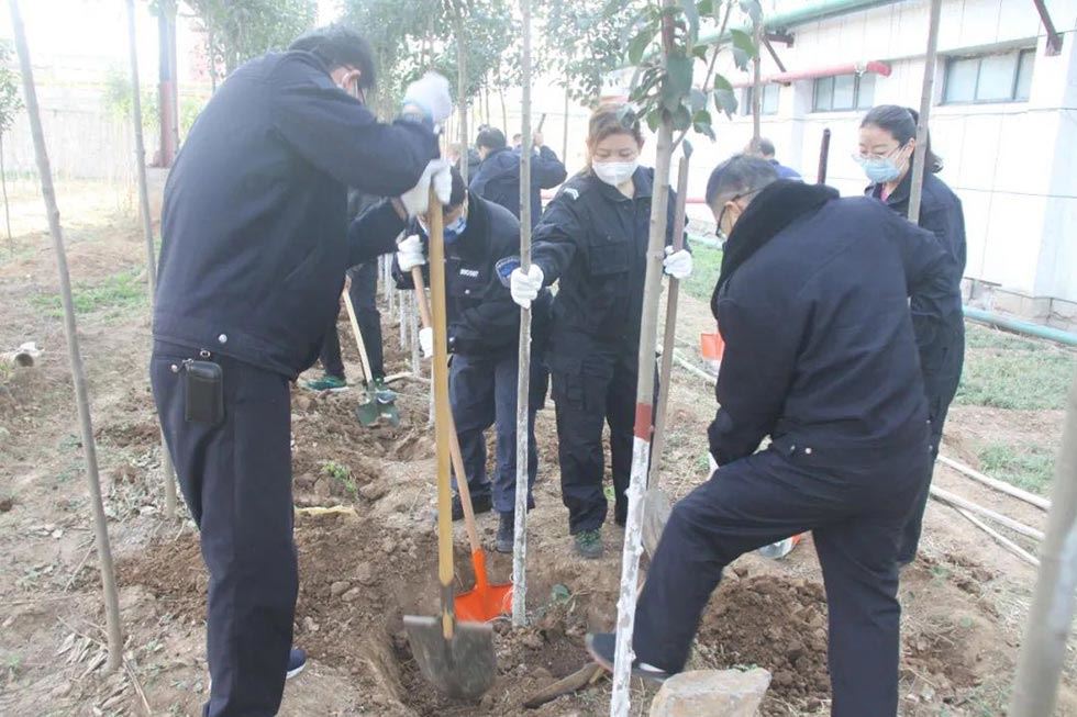 冲床厂植树活动